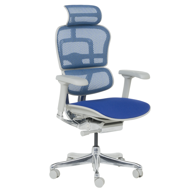 Ергономичен стол ERGOHUMAN ELITE 2 - сива рамка - син