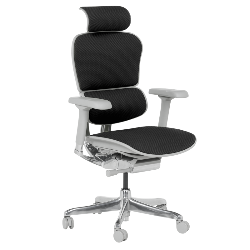 Ергономичен стол ERGOHUMAN ELITE 2 - сива рамка - черен