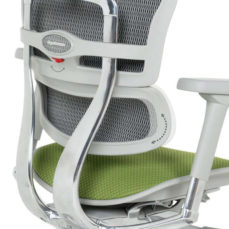 Ергономичен стол ERGOHUMAN ELITE 2 - сива рамка - зелен