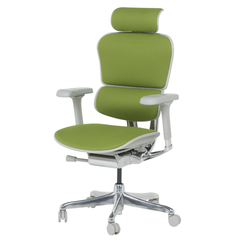 Ергономичен стол ERGOHUMAN ELITE 2 - сива рамка - зелен