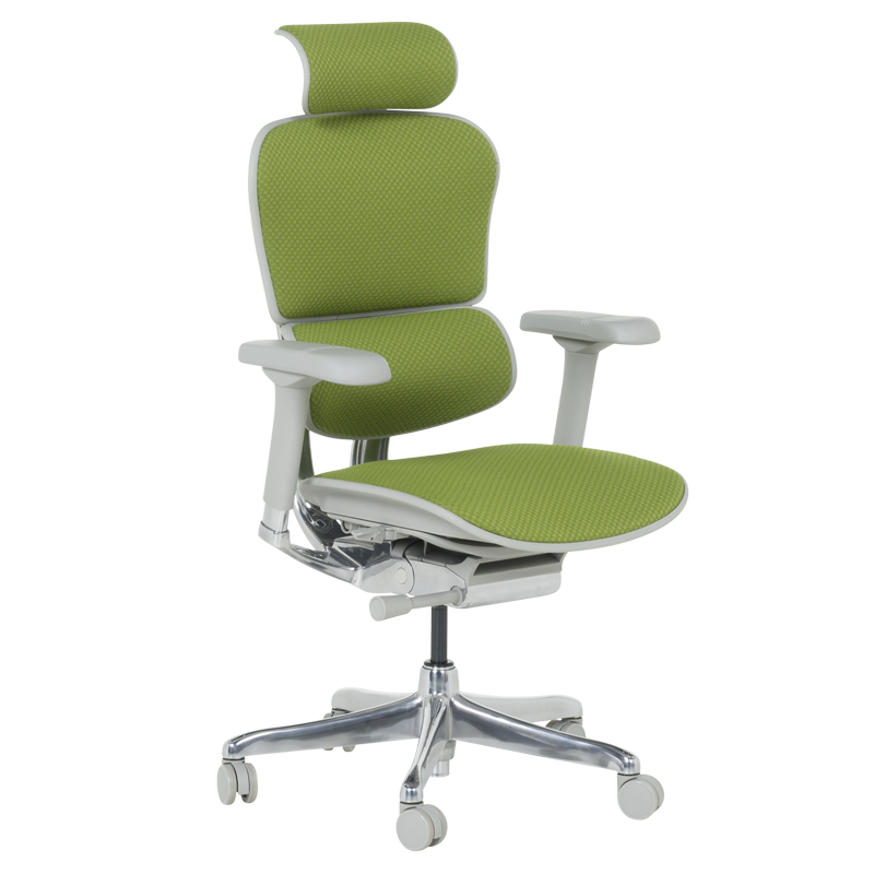 Ергономичен стол ERGOHUMAN ELITE 2 - сива рамка - зелен