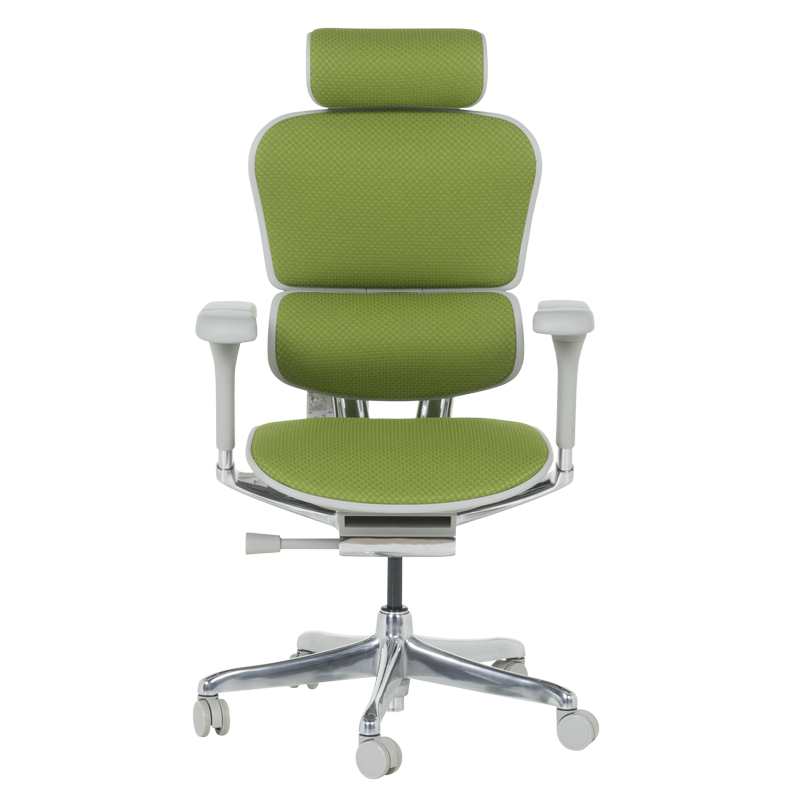 Ергономичен стол ERGOHUMAN ELITE 2 - сива рамка - зелен