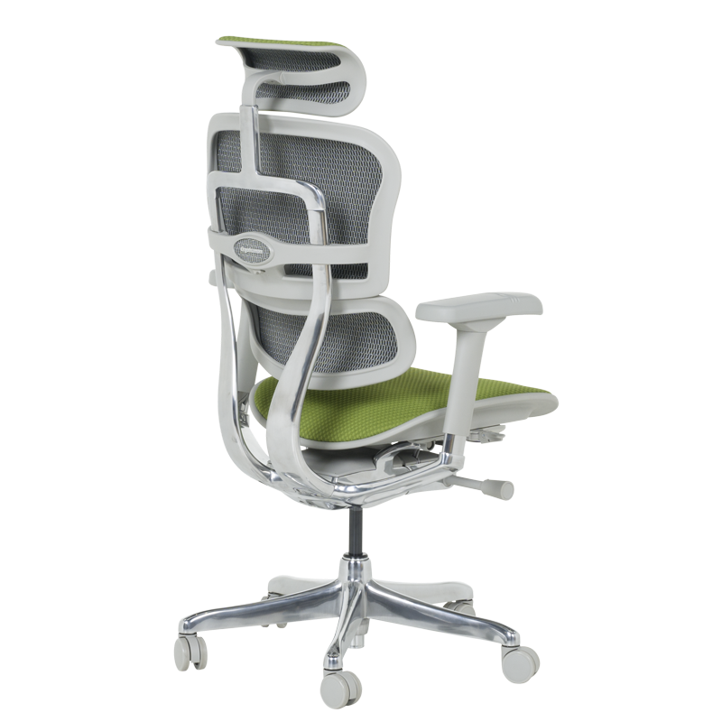 Ергономичен стол ERGOHUMAN ELITE 2 - сива рамка - зелен