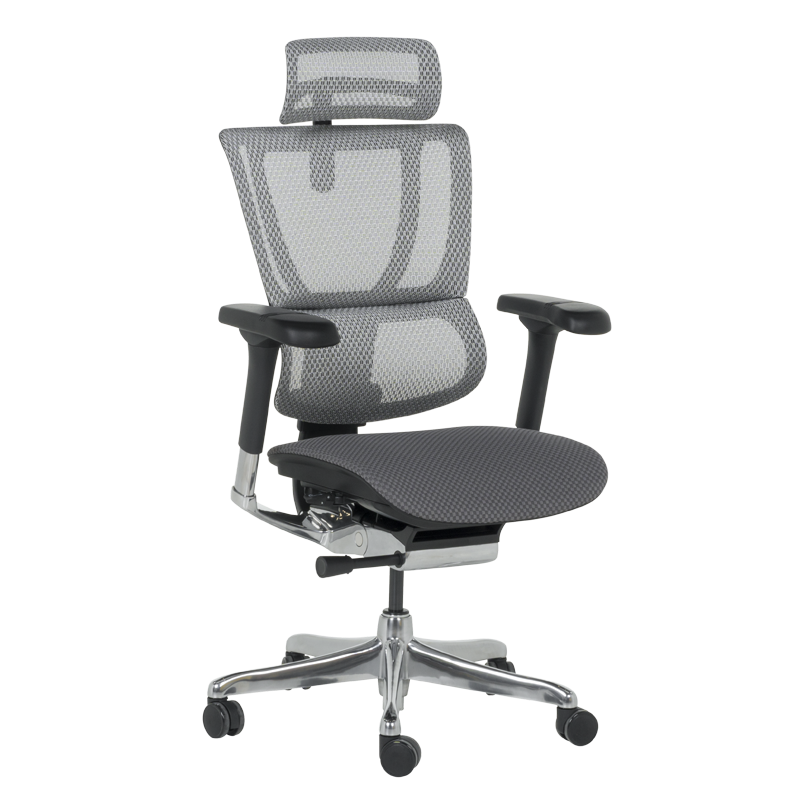 Ергономичен стол ERGOHUMAN IOO ELITE 2 - сива рамка - сив