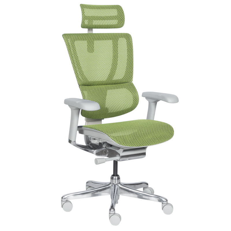 Ергономичен стол ERGOHUMAN IOO ELITE 2 - сива рамка - зелен