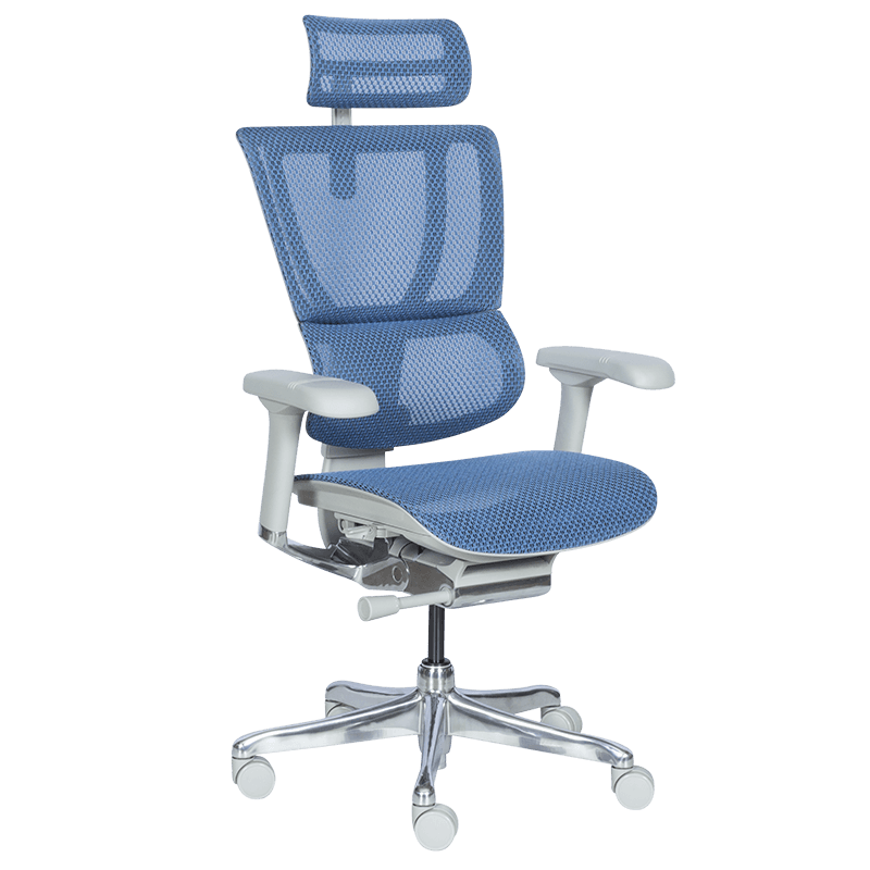 Ергономичен стол ERGOHUMAN IOO ELITE 2 - сива рамка - син