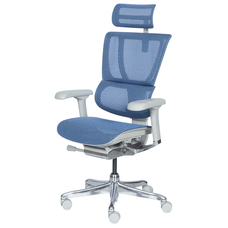 Ергономичен стол ERGOHUMAN IOO ELITE 2 - сива рамка - син