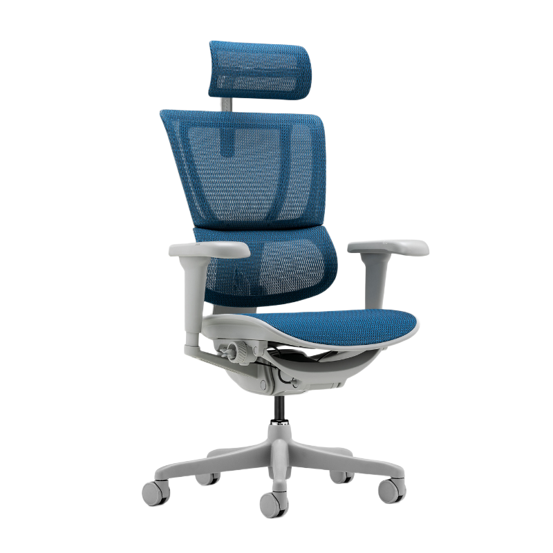 Ергономичен стол ERGOHUMAN IOO ULTRA - сива рамка - син