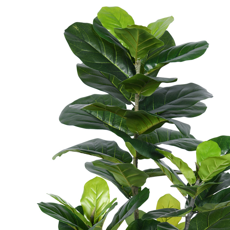 Декоративно растение fiddlehead в саксия  green pp h120cm