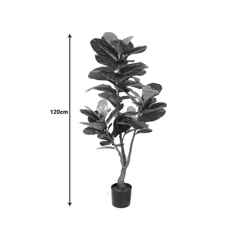 Декоративно растение fiddlehead в саксия  green pp h120cm