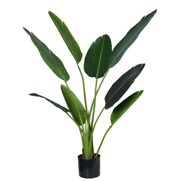 Декоративно растение палма в саксия  pp h120cm