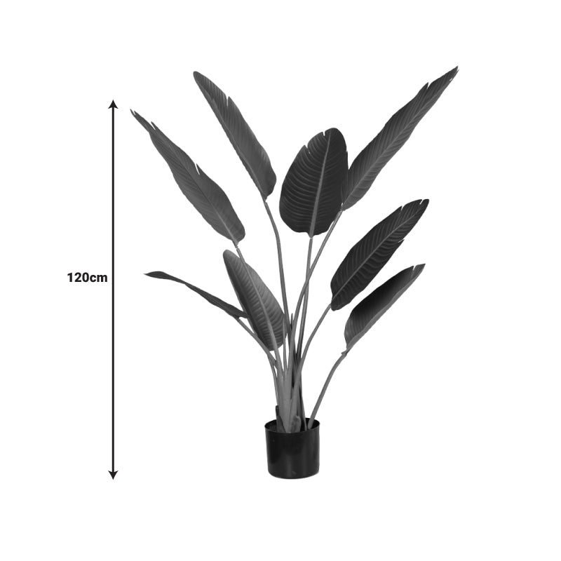 Декоративно растение палма в саксия  pp h120cm