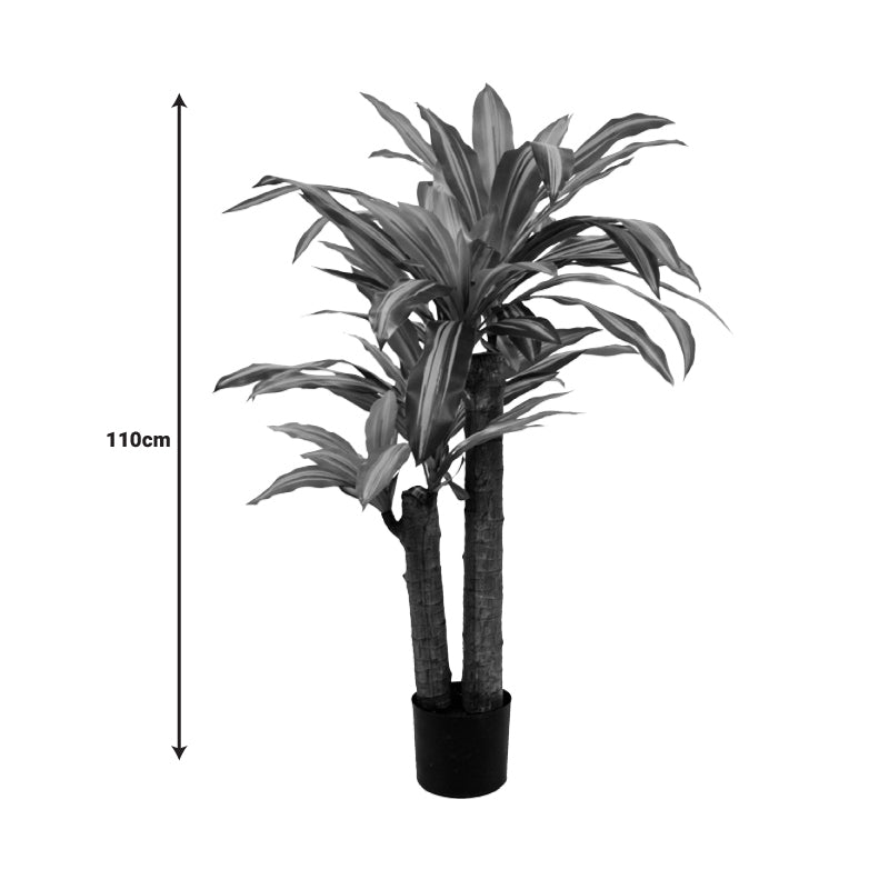 Декоративно растение драцена в саксия  green pp h110cm
