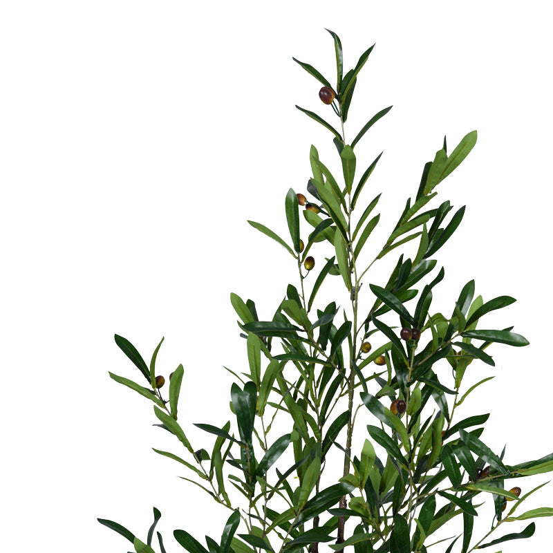Декоративно растение маслиново дръвче в саксия  green pp h120cm