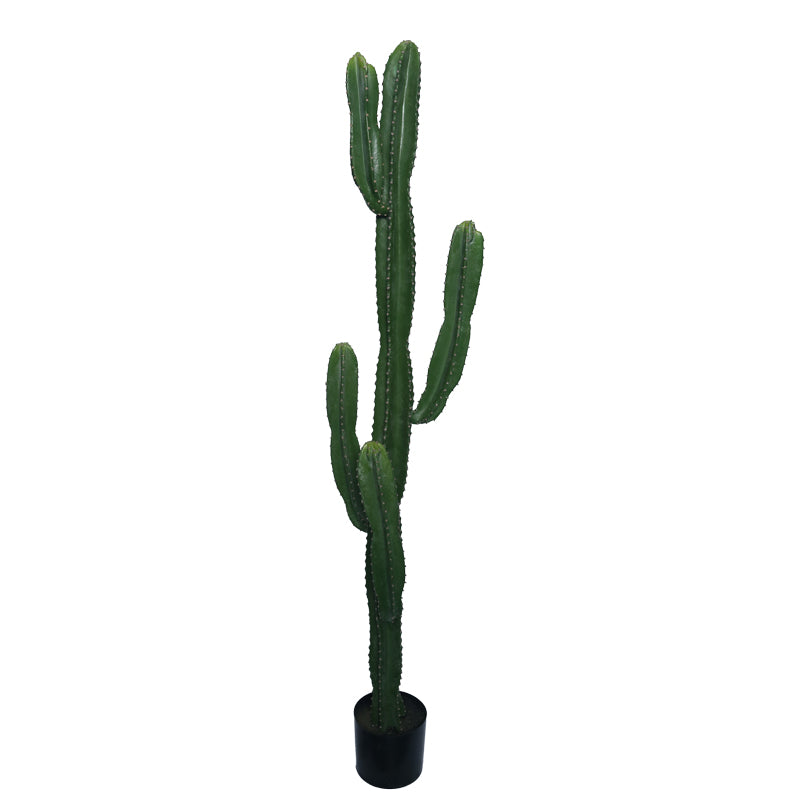 Декоративно растение Кактус I в саксия  Green pp H155cm