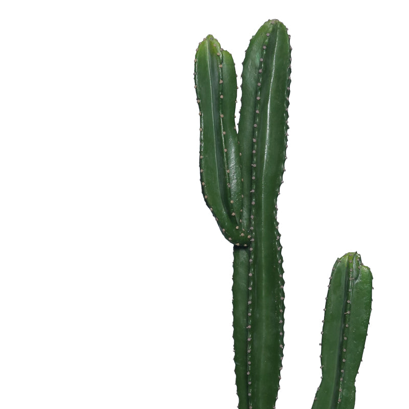 Декоративно растение Кактус I в саксия  Green pp H155cm