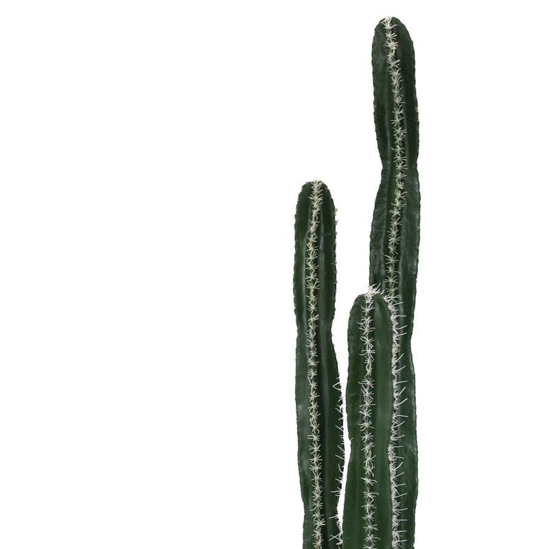 Декоративно растение Cactus II в саксия  green pp H155cm