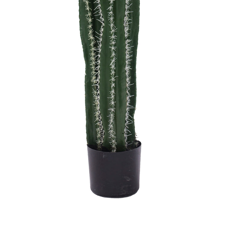 Декоративно растение Cactus II в саксия  green pp H155cm
