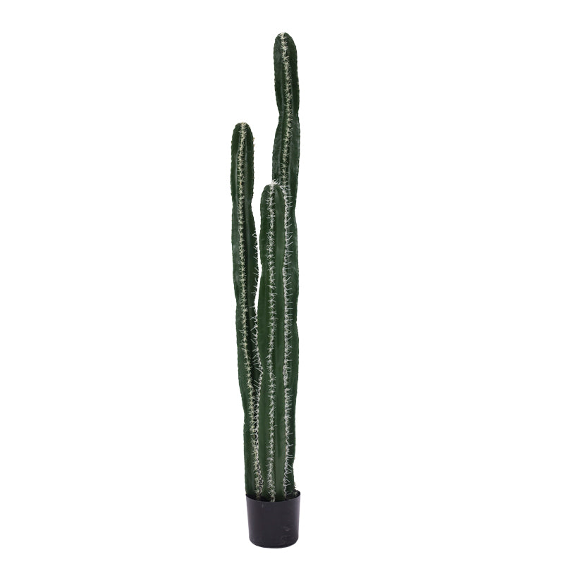 Декоративно растение Cactus II в саксия  green pp H155cm