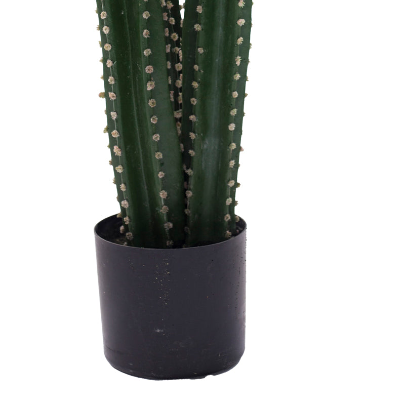 Декоративно растение Cactus III в саксия  green pp H85cm