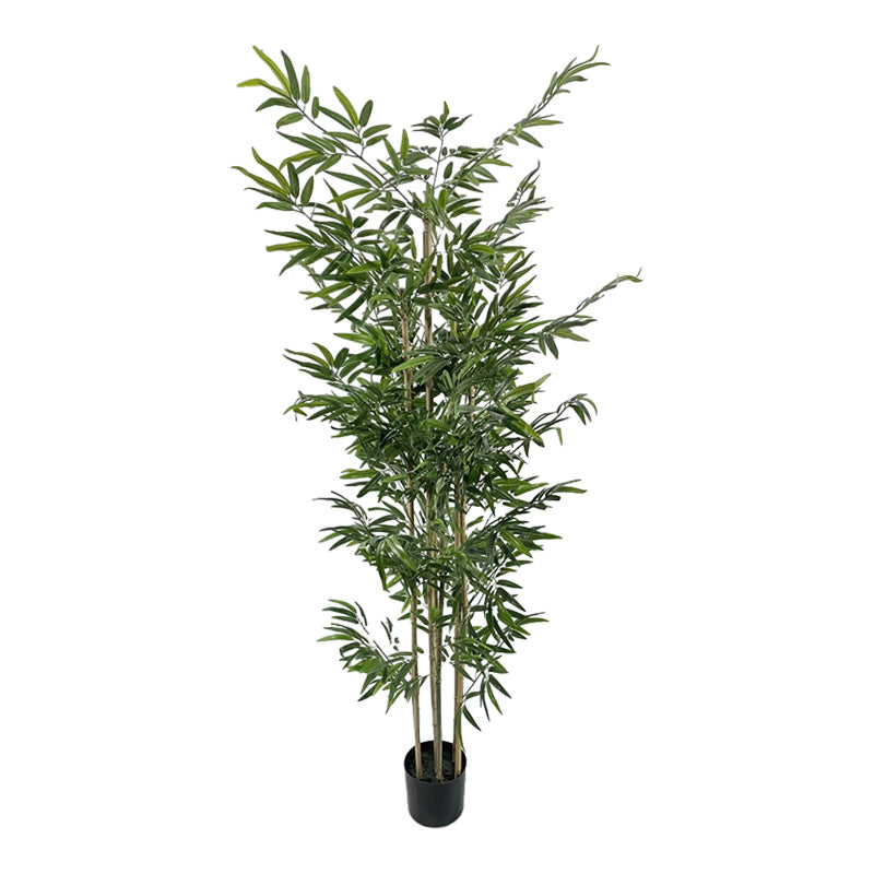 Декоративно растение бамбук в саксия  green pp h190cm