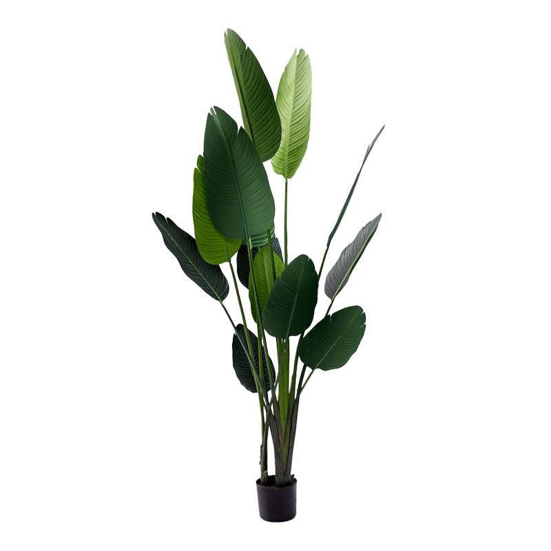 Декоративно растение палма в саксия  green pp h180cm