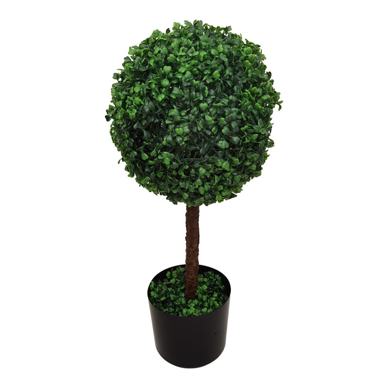 Декоративно растение Bolla в саксия pp φ30x65cm