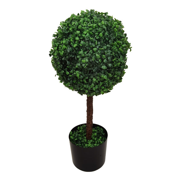 Декоративно растение Bolla в саксия pp φ30x65cm