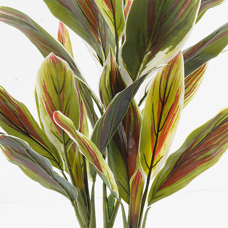 Декоративно растение в саксия cycas  зелено d55x80см