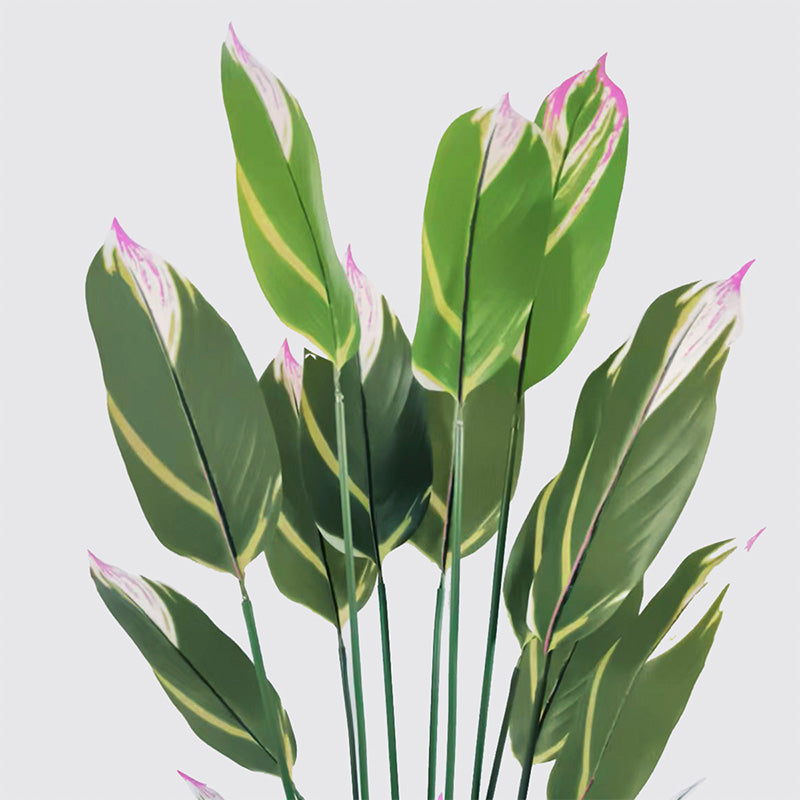 Декоративно растение в саксия lucky  зелено d80x180см