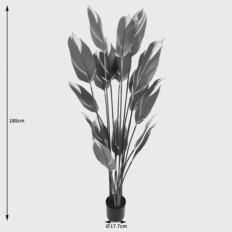 Декоративно растение в саксия lucky  зелено d80x180см