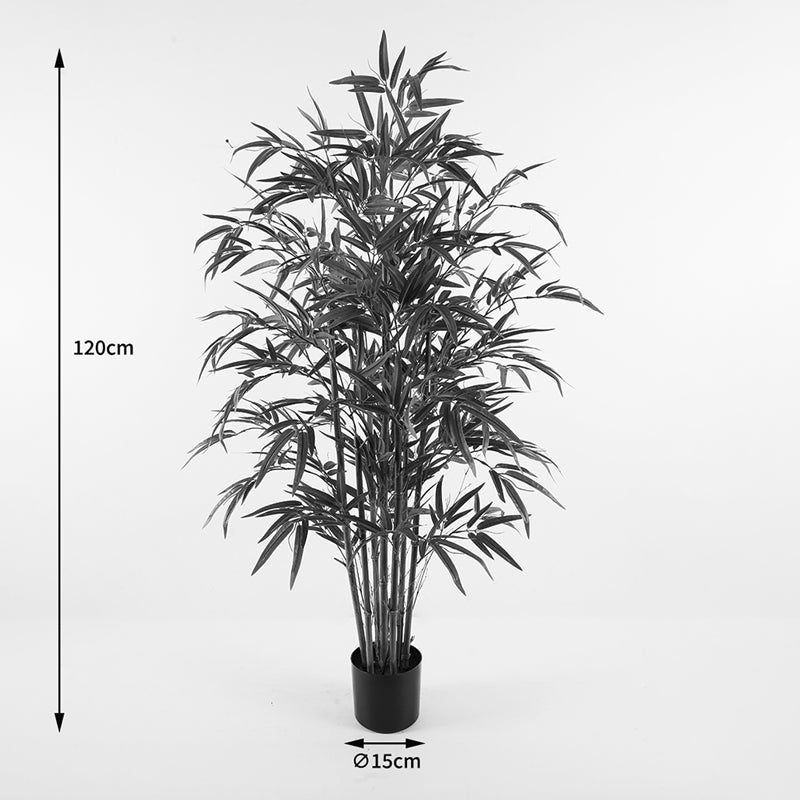 Декоративно растение в саксия Rhapis   зелено d60x120см