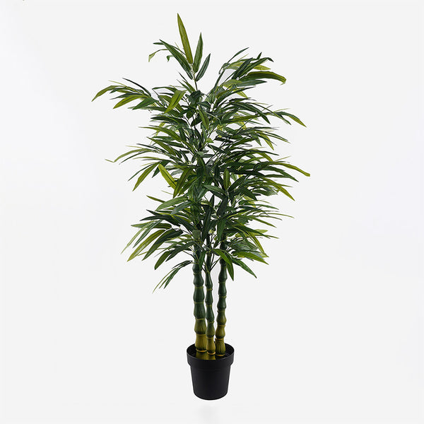 Декоративно растение в саксия Arti bamboo  зелено d70x150см