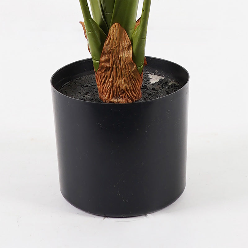 Декоративно растение в саксия алоказия инарт зелена диаметър 90x120 см