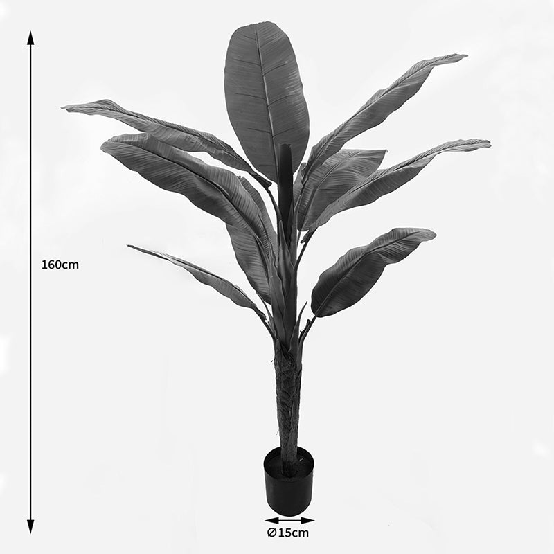 Декоративно растение в саксия banono  зелено d95x160см