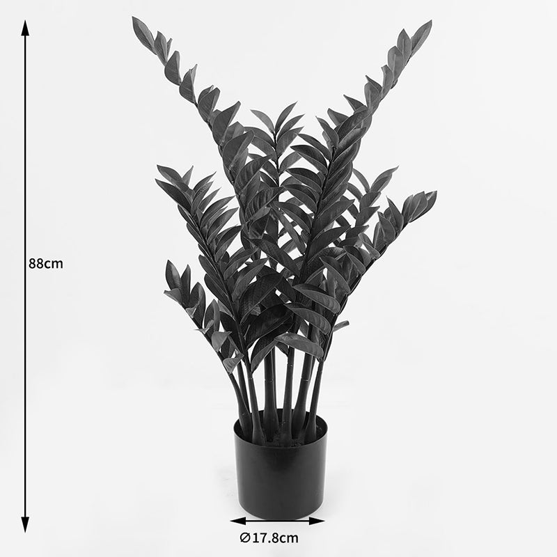 Декоративно саксийно растение Zamia  зелено d52x88см