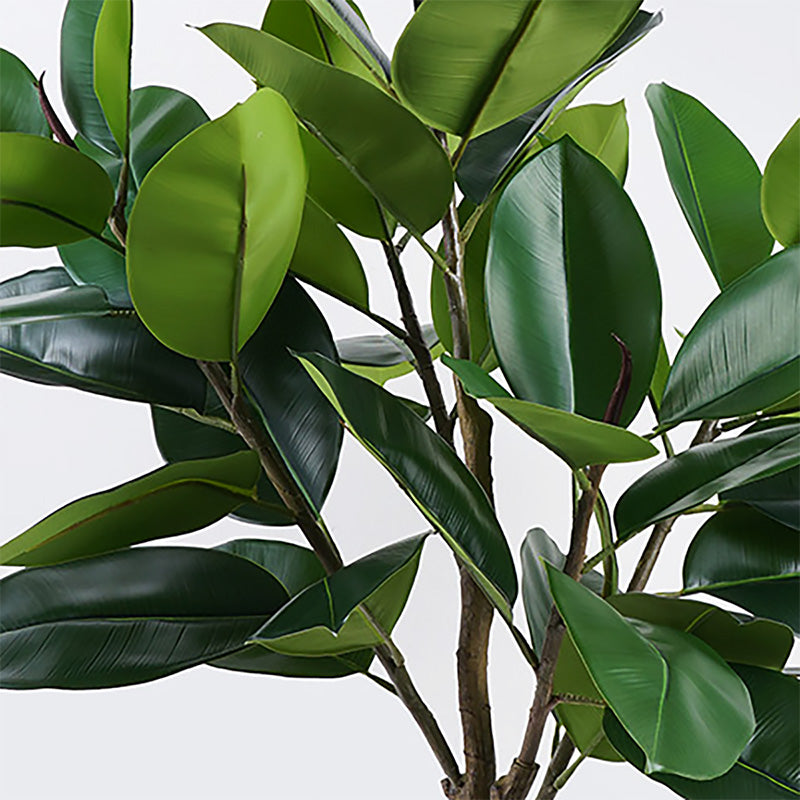 Декоративно растение в саксия ficus lyrata  зелено d70x130см