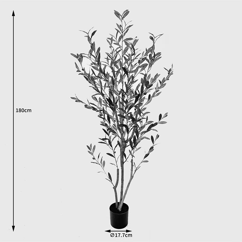 Декоративно растение в саксия olia  зелено 65x55x180см