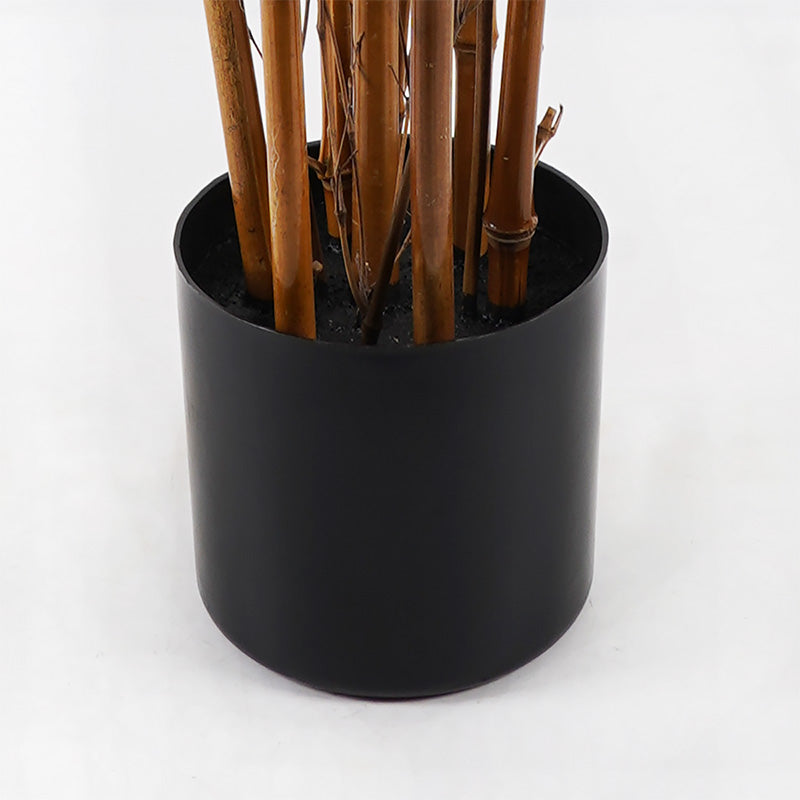 Декоративно растение в саксия rhapis palm  зелено d80x180см