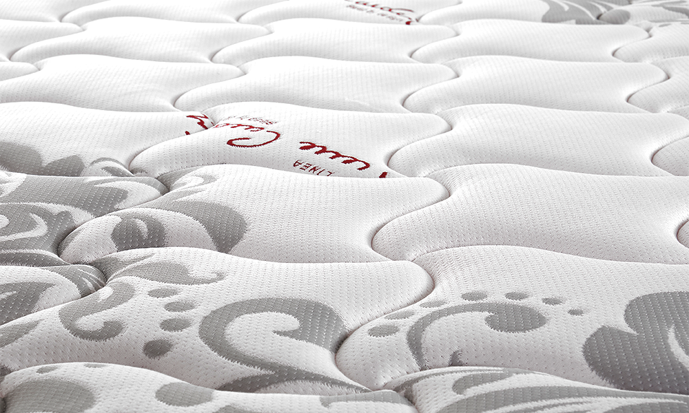 Paradiso by pierre cardin