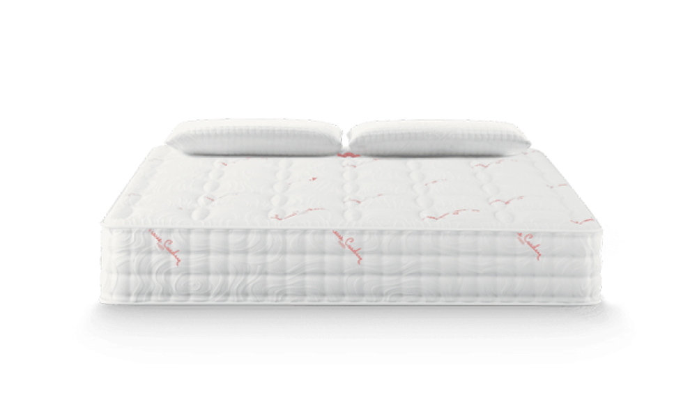 Riviera by pierre cardin