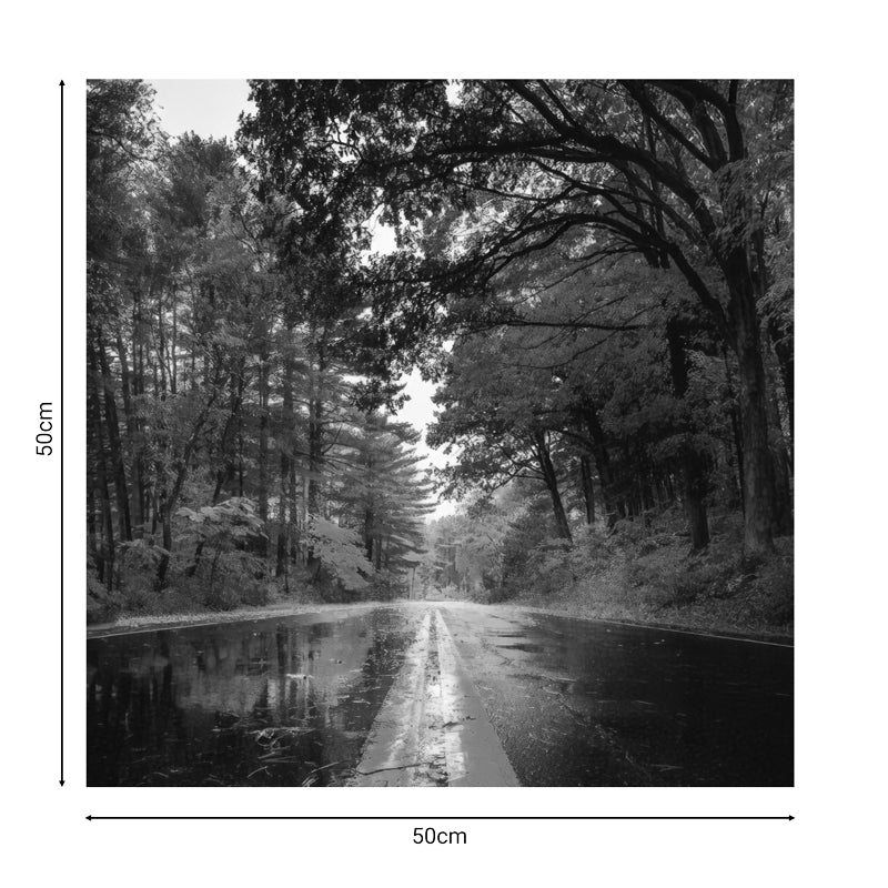 Savgone дигитален печат платно картина 50x1.8x50cm