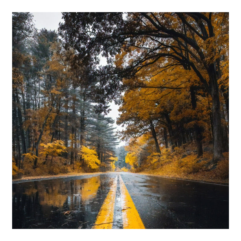 Savgone дигитален печат платно картина 50x1.8x50cm