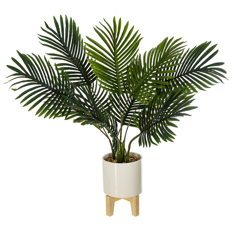 Саксийно растение Green4 83x75x65см