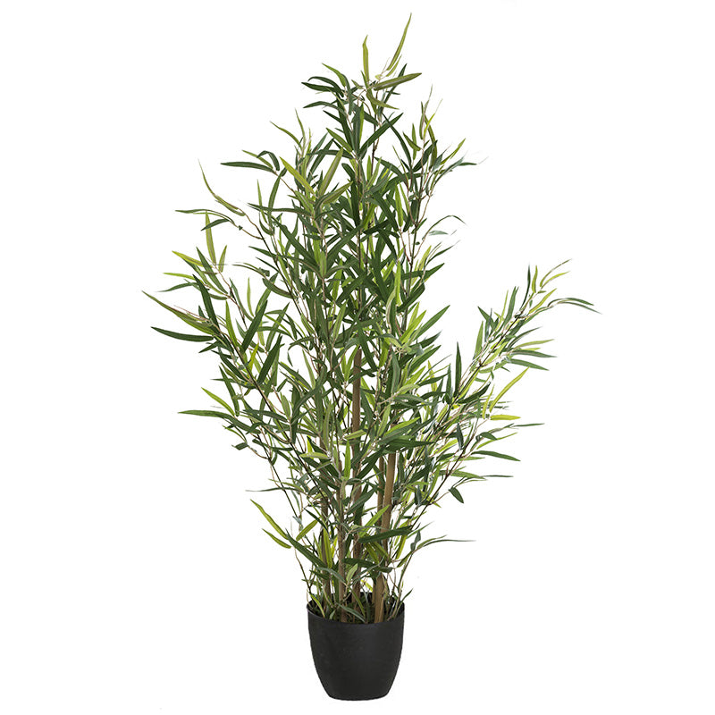 Саксийно растение Green10 63x55x90см