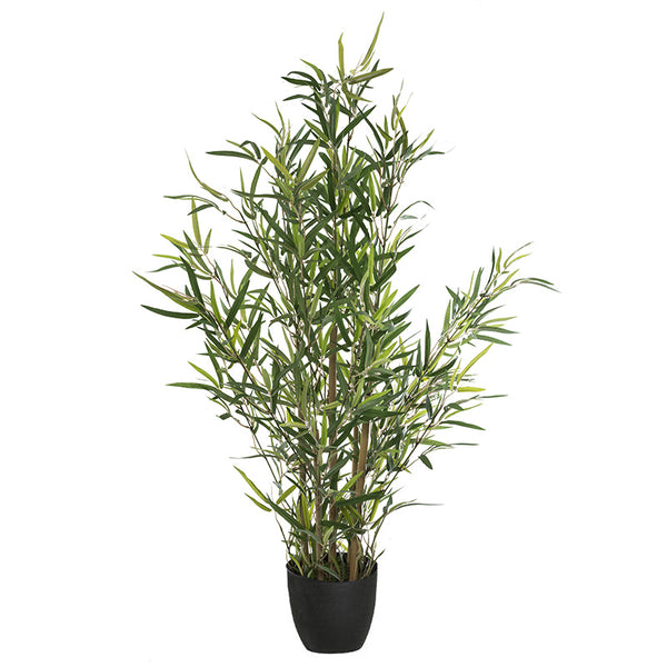Саксийно растение Green10 63x55x90см