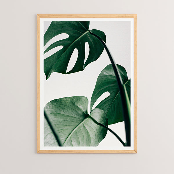 Стенно изкуство в рамка Leafy с дигитален печат 33x1.5x48см