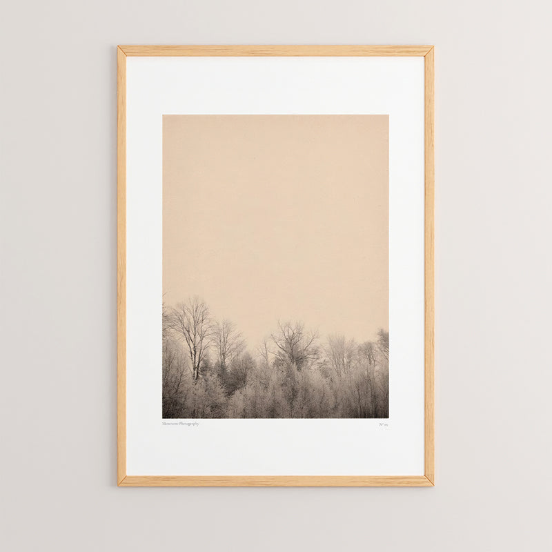 Стенно изкуство в рамка Quany с дигитален печат 33x1.5x48см